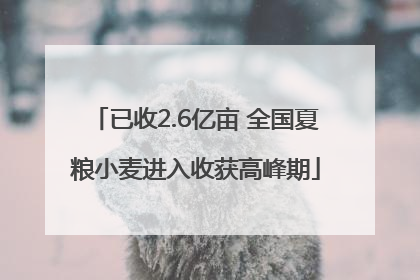 已收2.6亿亩 全国夏粮小麦进入收获高峰期